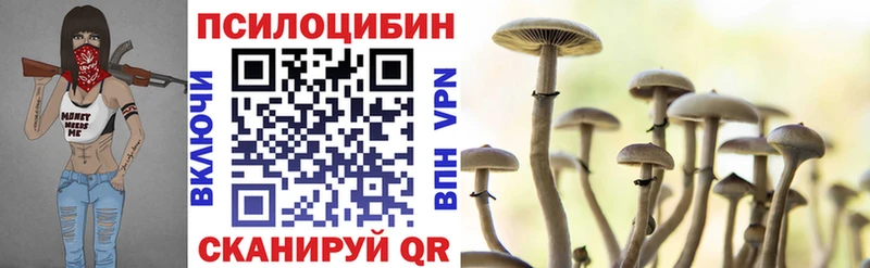 Псилоцибиновые грибы MAGIC MUSHROOMS  кракен зеркало  Заозёрск  купить наркотики сайты 
